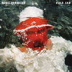 Vinile Bewilderment (Seafoam Green Vinyl) Pale Jay