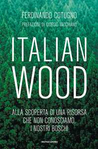 Libro Italian wood Ferdinando Cotugno